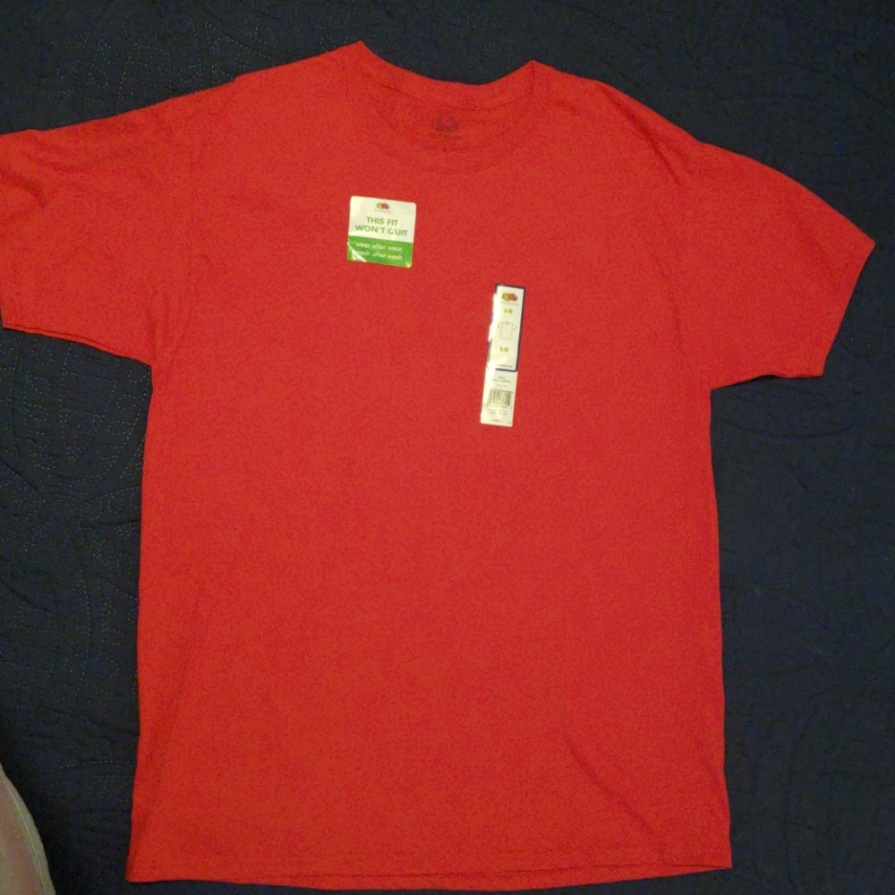 Men's L Fruit of the Loom Tee